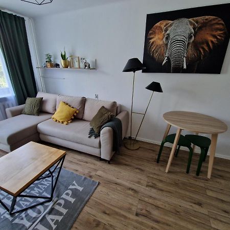 Sienkiewicza Apartament Multi House ジェシュフ エクステリア 写真