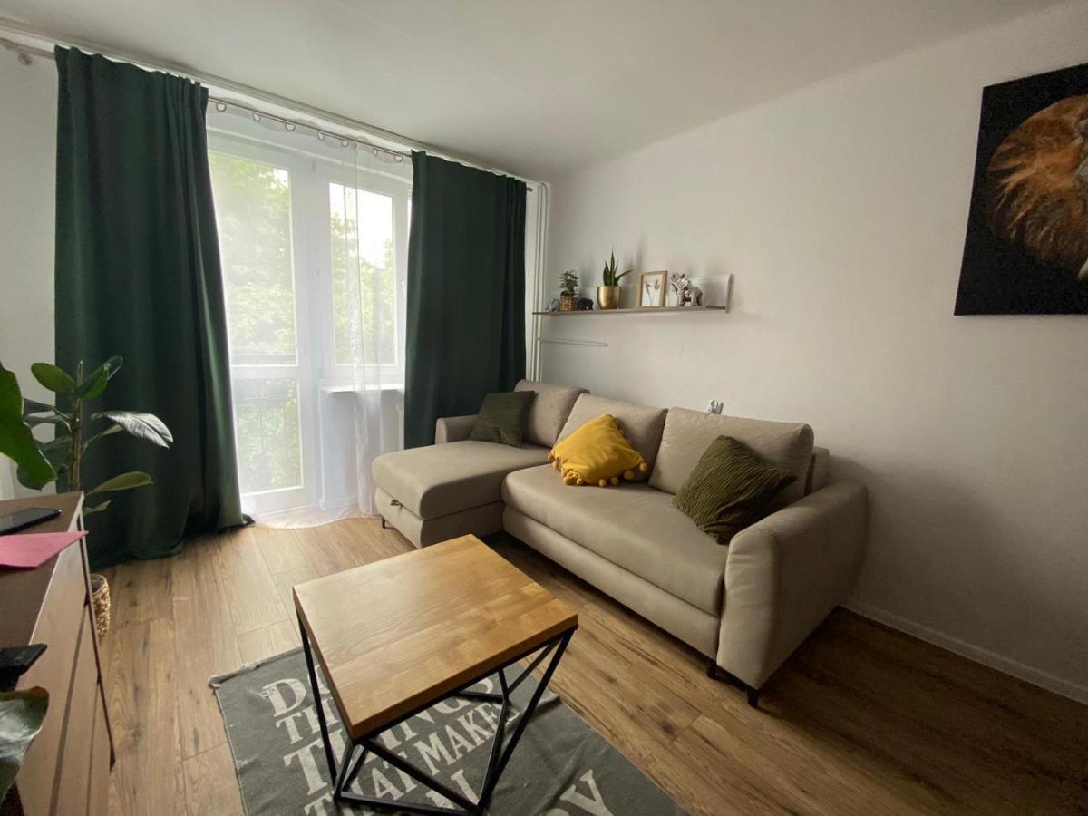 Sienkiewicza Apartament Multi House ジェシュフ エクステリア 写真